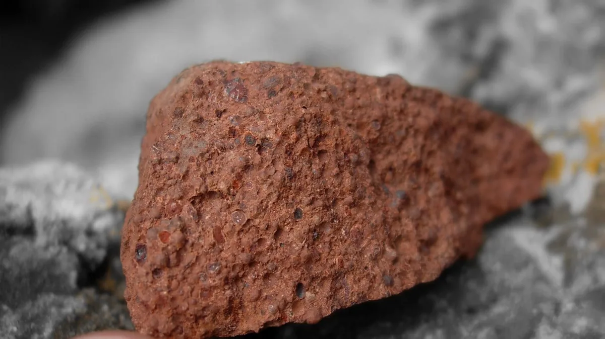 Bauxite de Minim-Martap : l'OPA d'A2MP, l'expertise BDO à 130 FCFA l'action, et ce que le Cameroun encaisse réellement