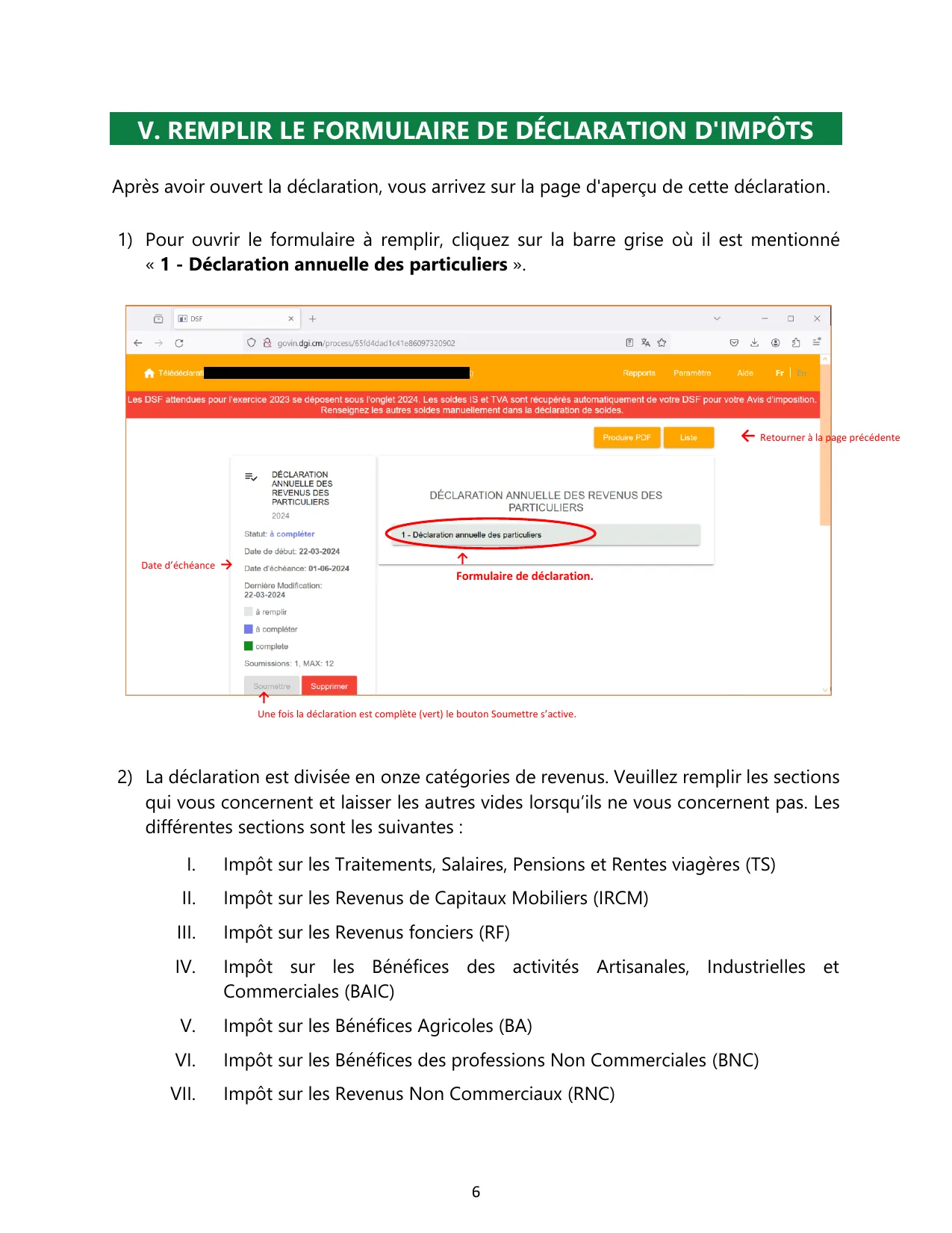 Formulaire de déclaration IRPP DGI - aperçu des catégories et du récapitulatif